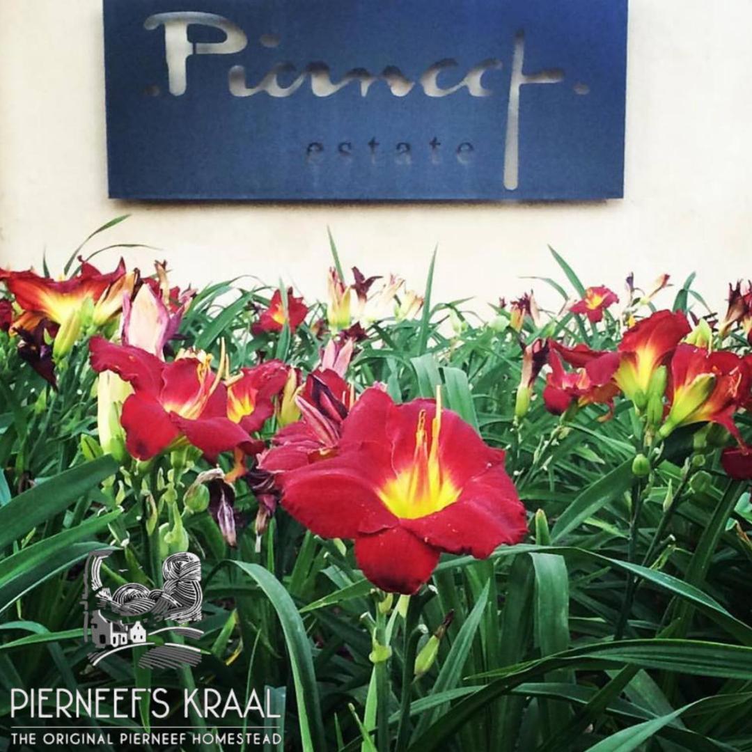 Pierneef'S Kraal 호텔 프레토리아 외부 사진